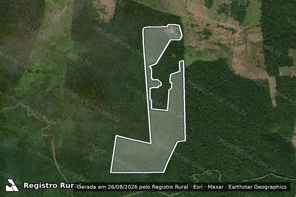 Imagem de satélite de Infração da Flora em São Félix do Xingu - PA