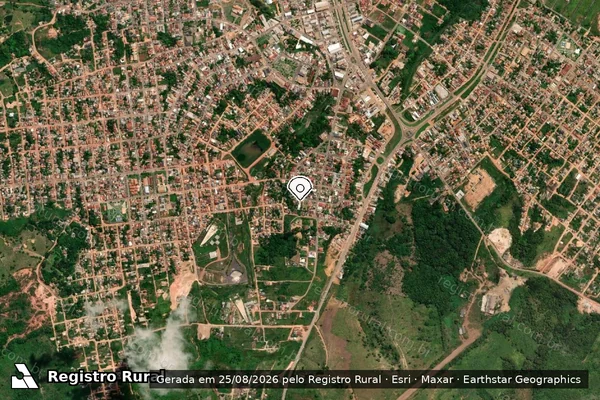 Imagem de satélite de Infração Ambiental em Pacajá - PA (marcador da localização)