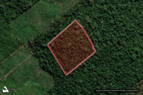 Imagem de satélite de Infração da Flora em Porto Velho - RO