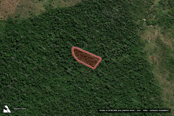 Imagem de satélite de Infração Ambiental em São Félix do Xingu - PA