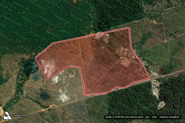 Imagem de satélite de Infração da Flora em Novo Progresso - PA