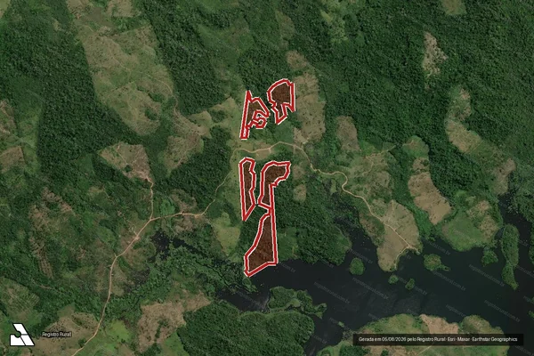 Imagem de satélite de Infração da Flora em Novo Repartimento - PA