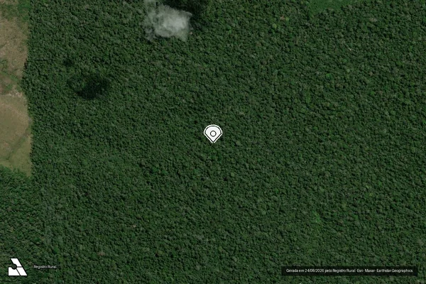 Imagem de satélite de Infração da Flora em Apuí - AM (marcador da localização)