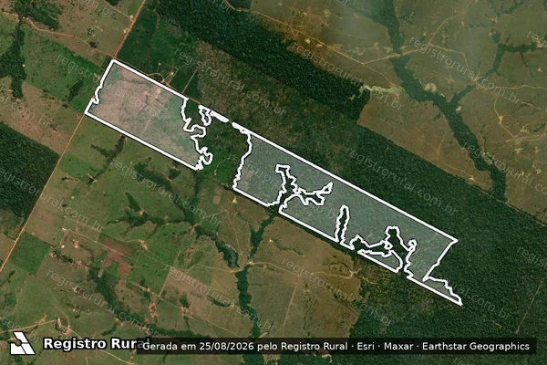 Imagem de satélite de Infração Ambiental em Porto Velho - RO