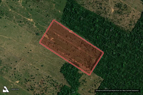Imagem de satélite de Infração da Flora em Porto Velho - RO