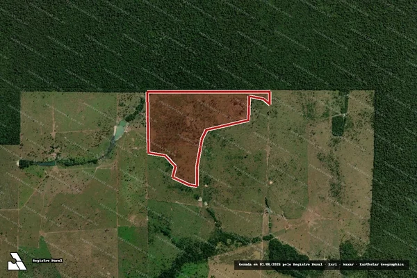Imagem de satélite — Embargo IBAMA — Infração da Flora - Costa Marques/RO