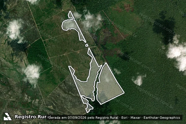 Imagem de satélite de Infração da Flora em Manicoré - AM