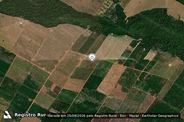 Imagem de satélite de Infração Ambiental em União do Sul - MT (marcador da localização)