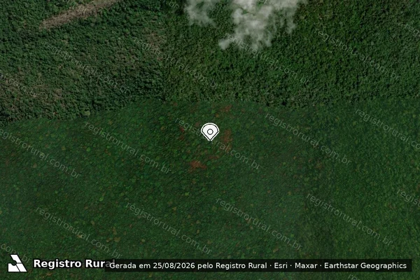 Imagem de satélite — Embargo IBAMA — Infração Ambiental - Trairão/PA
