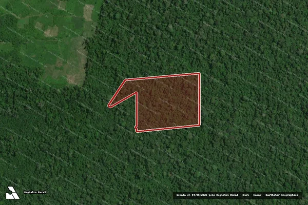 Imagem de satélite — Embargo IBAMA — Infração da Flora — Santarém/PA