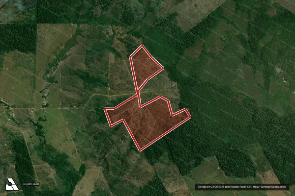 Imagem de satélite de Infração da Flora em Apuí - AM