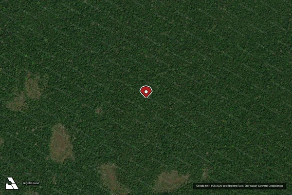 Imagem de satélite de Infração da Flora em Machadinho D'Oeste - RO (marcador da localização)