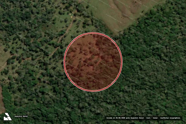 Imagem de satélite de Infração Ambiental em Bituruna - PR
