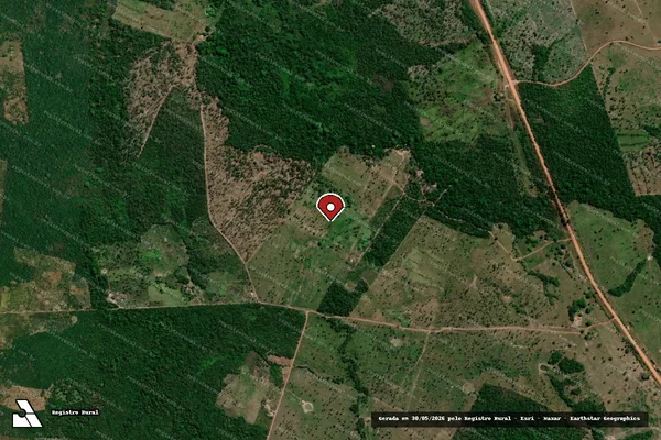Imagem de satélite de Infração da Flora em Ananás - TO (marcador da localização)