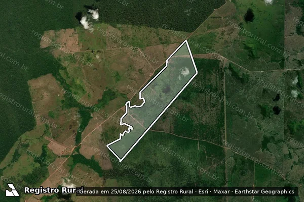 Imagem de satélite de Infração da Flora em Altamira - PA