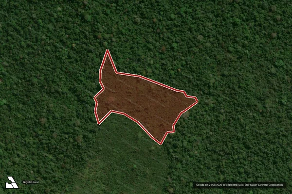Imagem de satélite de Infração Ambiental em Senador José Porfírio - PA