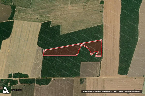 Imagem de satélite de Infração da Flora em Mojuí dos Campos - PA