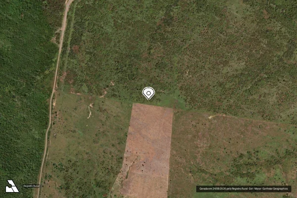 Imagem de satélite de Infração Ambiental em Santana do Araguaia - PA (marcador da localização)