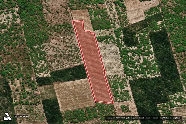 Imagem de satélite — Embargo Ambiental — Jijoca de Jericoacoara/CE