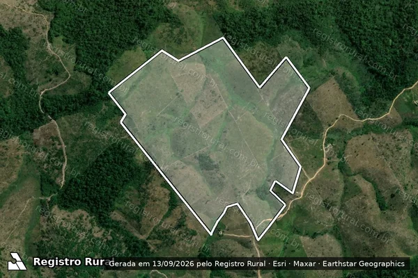 Imagem de satélite de Infração da Flora em Pacajá - PA