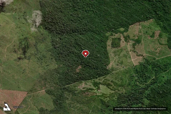 Imagem de satélite de Infração da Flora em São Félix do Xingu - PA (marcador da localização)