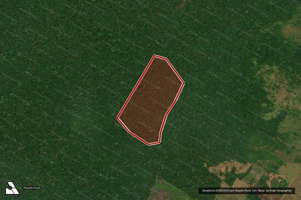 Imagem de satélite de Infração da Flora em Caracaraí - RR