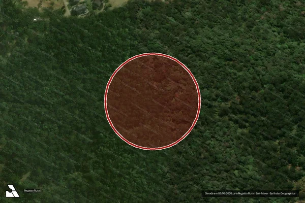 Imagem de satélite — Embargo IBAMA — Infração Ambiental - Joinville/SC