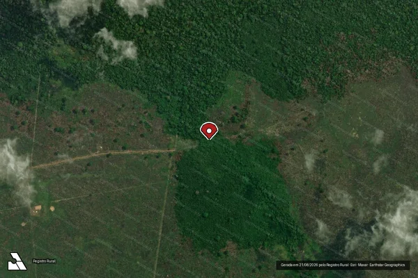 Imagem de satélite de Infração da Flora em Humaitá - AM (marcador da localização)