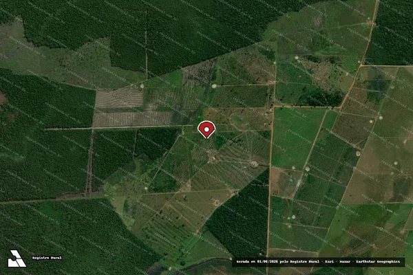Imagem de satélite de Infração da Flora em Costa Marques - RO (marcador da localização)