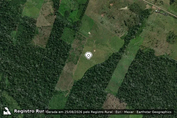 Imagem de satélite de Infração da Flora em Feijó - AC (marcador da localização)