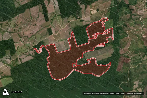 Imagem de satélite de Infração da Flora em Novo Progresso - PA