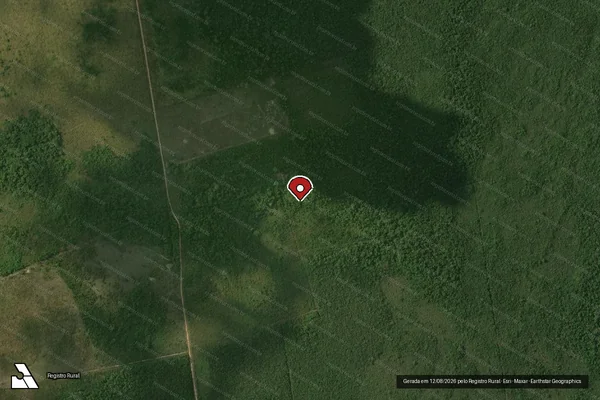 Imagem de satélite de Infração da Flora em Porto Velho - RO (marcador da localização)
