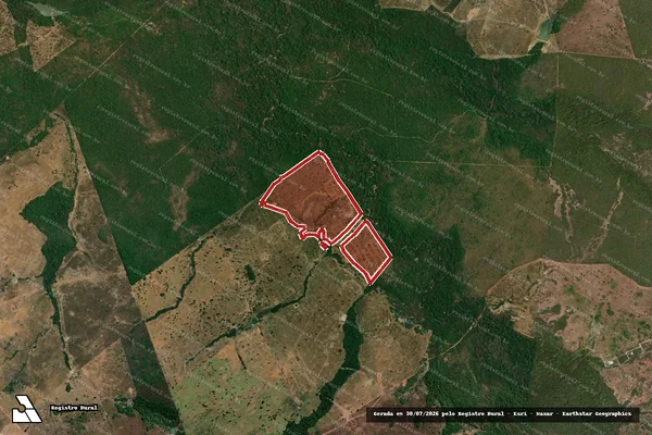 Imagem de satélite de Infração da Flora em Crixás - GO