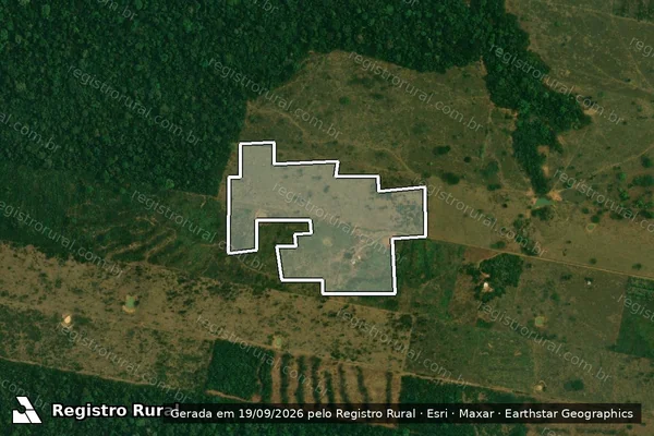 Imagem de satélite — Embargo IBAMA — Infração da Flora - Porto Velho/RO