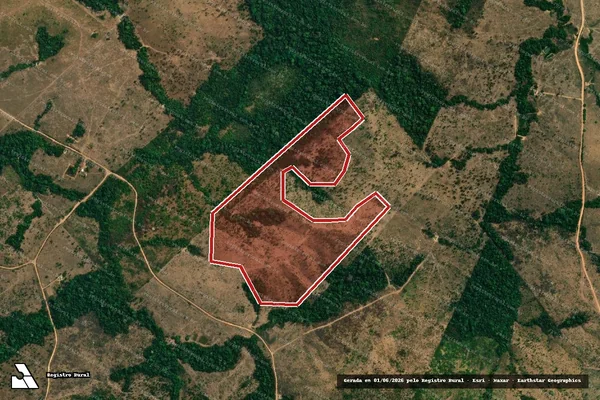 Imagem de satélite de Infração Ambiental em Cotriguaçu - MT