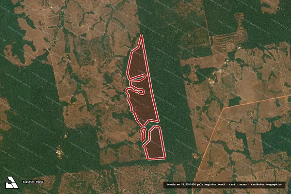 Imagem de satélite de Infração da Flora em Apiacás - MT