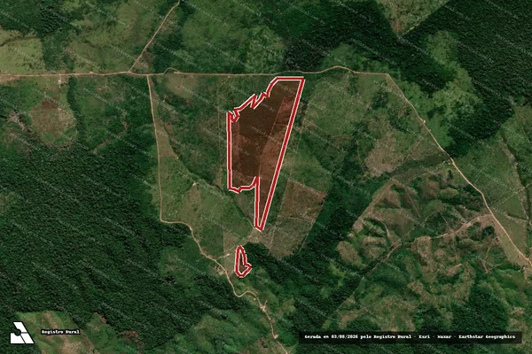 Imagem de satélite de Infração Ambiental em Apuí - AM