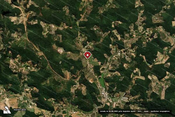Imagem de satélite de Infração Ambiental em Domingos Martins - ES (marcador da localização)