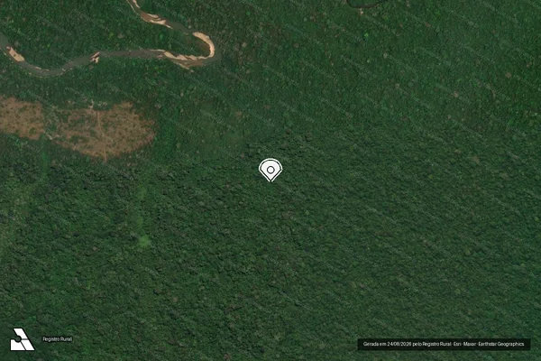 Imagem de satélite de Infração Ambiental em Novo Progresso - PA (marcador da localização)