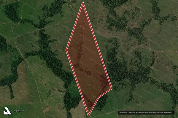 Imagem de satélite de Infração da Flora em Colniza - MT