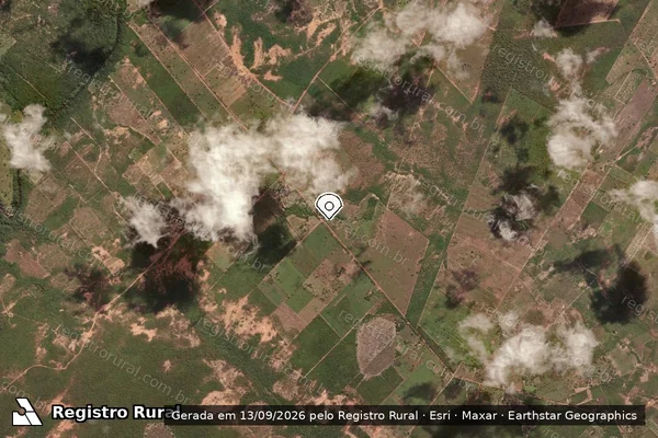 Imagem de satélite de Infração Ambiental em Flores de Goiás - GO (marcador da localização)