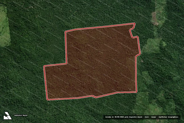 Imagem de satélite de Infração da Flora em Anapu - PA