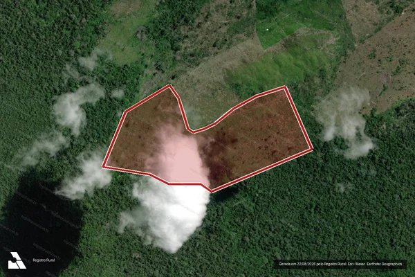 Imagem de satélite de Infração da Flora em São Félix do Xingu - PA
