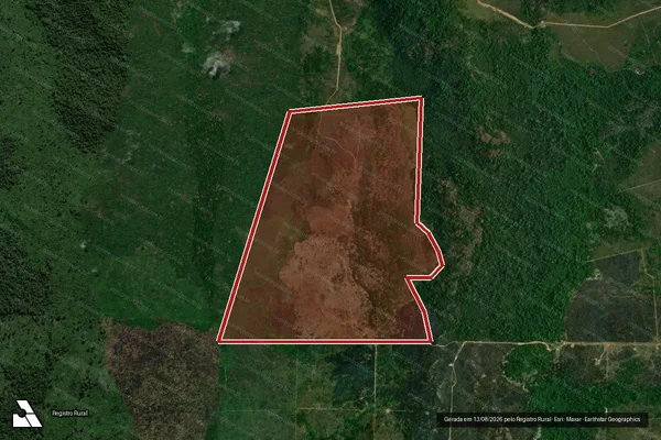 Imagem de satélite de Infração da Flora em São Félix do Xingu - PA