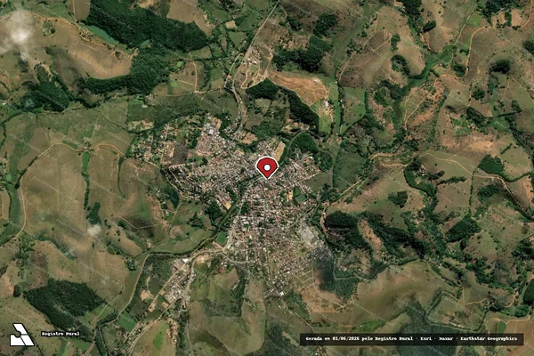 Imagem de satélite de Infração Ambiental em Rio Novo - MG (marcador da localização)