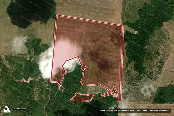 Imagem de satélite de Infração da Flora em Terra Nova do Norte - MT