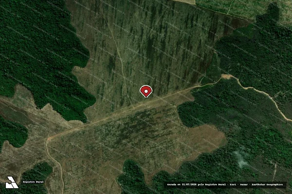 Imagem de satélite de Infração da Flora em Dom Eliseu - PA (marcador da localização)