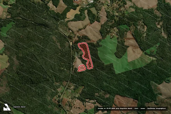 Imagem de satélite de Infração da Flora em Turvo - PR