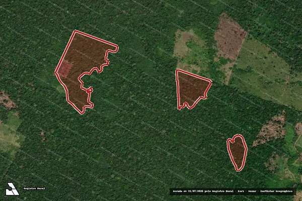 Imagem de satélite de Infração da Flora em Óbidos - PA