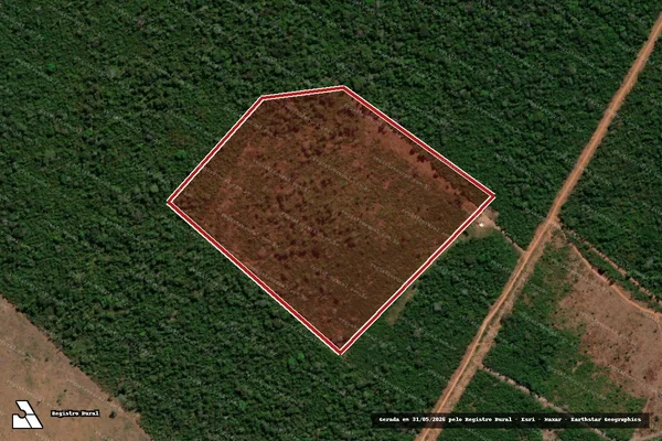 Imagem de satélite — Embargo IBAMA — Infração da Flora - Brasnorte/MT